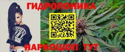 хмурый Свободный