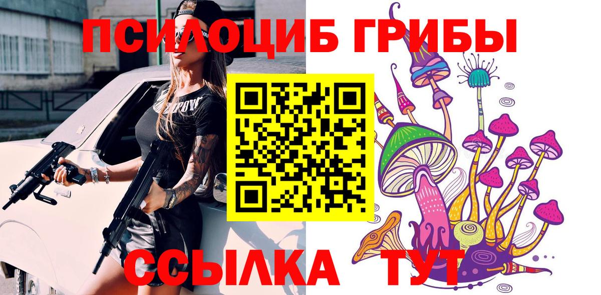 Псилоцибиновые грибы GOLDEN TEACHER  Вход с VPN  Псилоцибиновые грибы MAGIC MUSHROOMS  Петрозаводск 